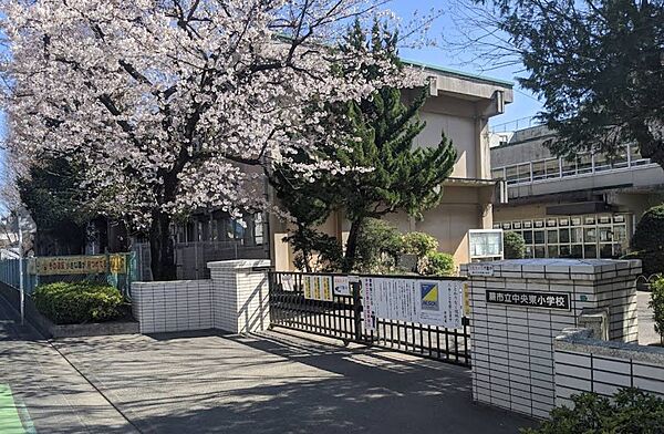 周辺を拡大表示