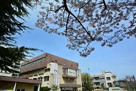 小学校 789m 川口市立並木小学校