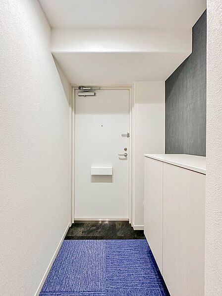 【玄関】玄関はおうちの顔と言われます。玄関アプローチは、外観デザインの印象を左右します。ご家族の個性を出しながら、素敵な玄関でお客様をお迎えしてください。