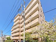 埼玉県川口市元郷1丁目：物件画像