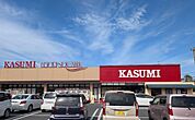 スーパー 960m カスミ フードスクエア 白岡店