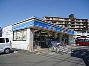 コンビニ 600m ローソンさいたま南中丸店