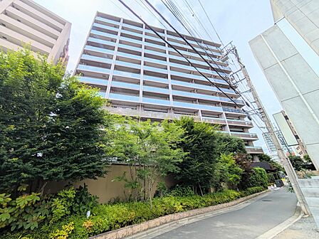 【前面道路】車の通行が少ないので、静かな住環境を維持することができます。