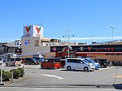 スーパー 510m コモディイイダ東浦和店(お客さま目線で発想する。私たちは東京、埼玉、千葉、茨城の一都三県に82店舗が展開する食品パーマーケット企業です。常に消費者サイドにたっていつもの商…
