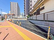 【前面道路】家の前をまっすぐの通りが走っている。クルマは少なく、人々は毎朝、ウォーキング、ジョギング、犬の散歩など、フリーな朝時間を過ごしている。