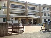 中学校 1000m さいたま市立桜木中学校(さいたま市立桜木中学校　徒歩15分)