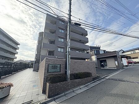 【前面道路】家の前をまっすぐの通りが走っている。クルマは少なく、人々は毎朝、ウォーキング、ジョギング、犬の散歩など、フリーな朝時間を過ごしている。