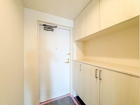 【玄関】玄関はおうちの顔と言われます。玄関アプローチは、外観デザインの印象を左右します。ご家族の個性を出しながら、素敵な玄関でお客様をお迎えしてください。