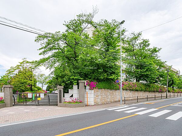 周辺を拡大表示