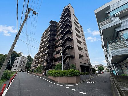 【前面道路】家の前をまっすぐの通りが走っている。クルマは少なく、人々は毎朝、ウォーキング、ジョギング、犬の散歩など、フリーな朝時間を過ごしている。