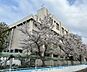 周辺：中学校 450m 川口市立芝東中学校