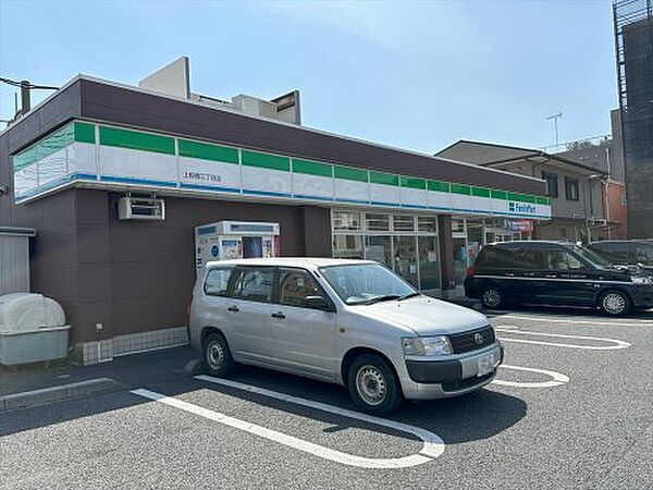 画像13:【コンビニエンスストア】ファミリーマート 上板橋三丁目店まで364ｍ