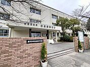 藤井寺市立道明寺中学校 徒歩11分。 840m