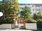 柏原市立国分小学校 徒歩17分。 1350m