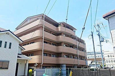 外観 外観