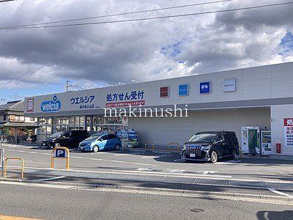 周辺を拡大表示