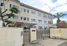 周辺：松原市立松原第二中学校 徒歩11分。 860m