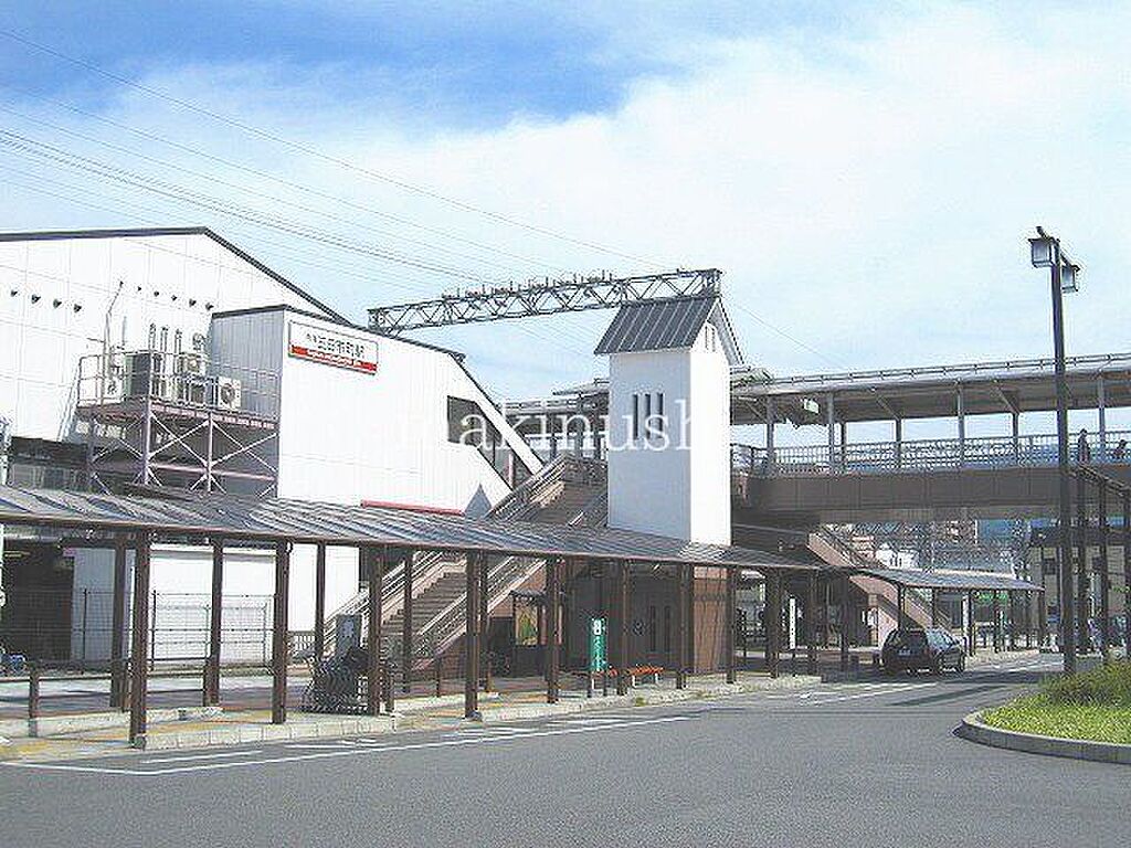 Image 6