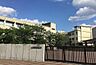 周辺：堺市立上野芝中学校 徒歩7分。 560m