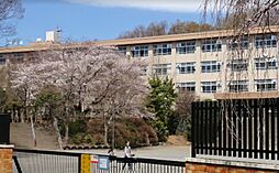 ライオンズマンション八王子めじろ台 周辺環境:小学校