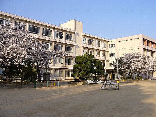 画像6:【小学校】姫路市立　水上小学校まで505ｍ