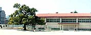 小学校「広島市立三篠小学校まで916ｍ」