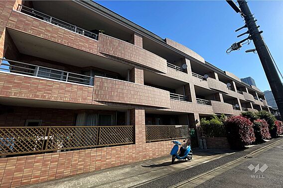 ラコスタ13小...