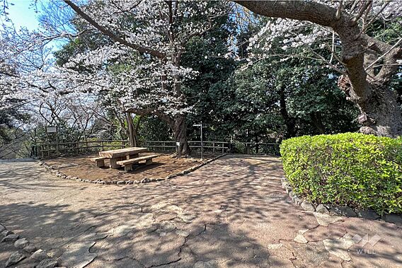 田園調布せせら...