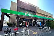 サミットストア(池上8丁目店)の外観