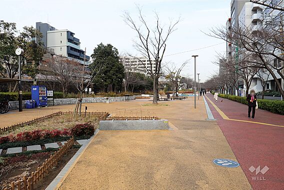 大井水神公園の...