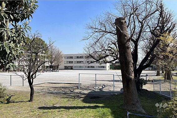 下沼部小学校[...