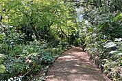 川崎市民プラザ公園の外観