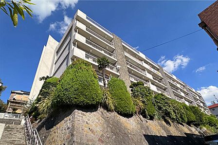 敷地の南側前面道路(南西側から)