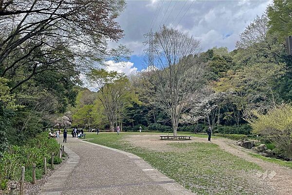 周辺を拡大表示