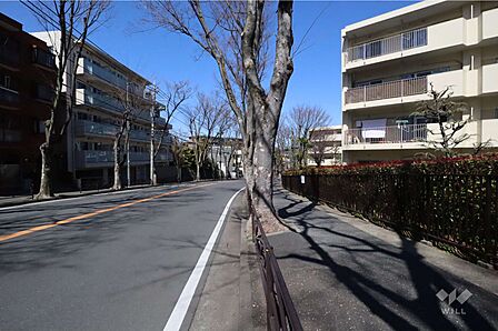 敷地西側の前面道路(南側から)