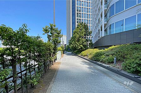 敷地南西側の前面道路