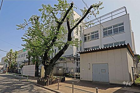 千歳小学校[公立]の外観