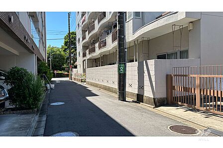 敷地東側の前面道路(北東側から)