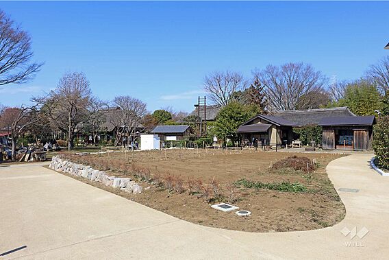 次大夫堀公園の...