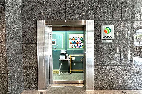 宮崎台コスモス...