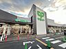 周辺：サミットストア松戸新田店まで　503m　徒歩約7分