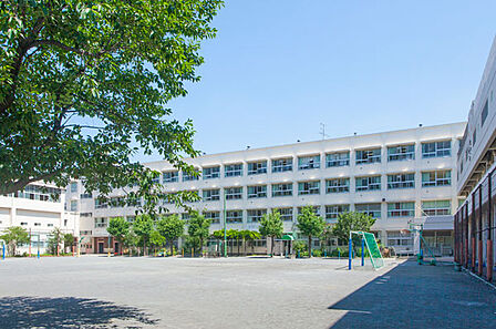横浜市立坂本小学校（570m）