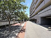 マンション目の前の大岡川プロムナードには、春になるとソメイヨシノが約6kmにも及び、隣の「蒔田」駅まで美しい桜並木を連ねます。