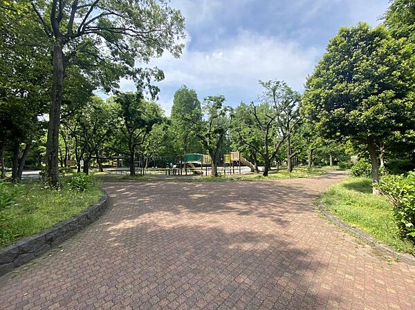 周辺を拡大表示