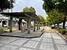 周辺：城北緑道公園 260m
