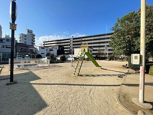 周辺を拡大表示