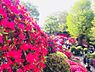 周辺：【寺院・神社】根津神社まで1661ｍ