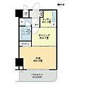 ライオンズマンション平塚宝町8階8.0万円
