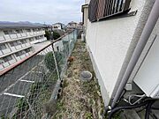 2025年4月撮影写真