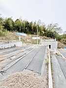 2026年4月9日　撮影